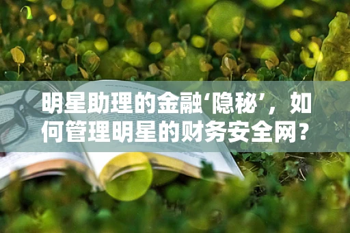 明星助理的金融‘隐秘’，如何管理明星的财务安全网？