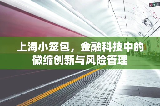 上海小笼包，金融科技中的微缩创新与风险管理