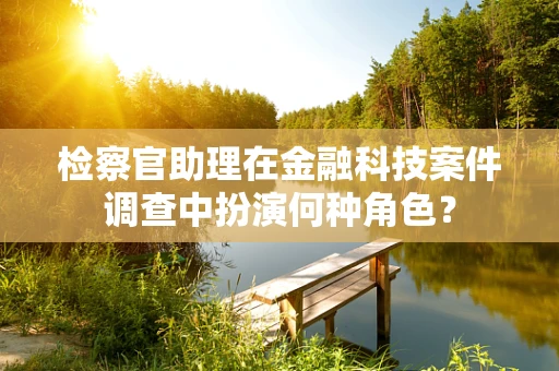检察官助理在金融科技案件调查中扮演何种角色？