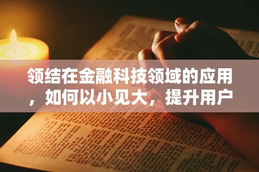 领结在金融科技领域的应用，如何以小见大，提升用户体验？