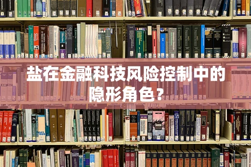 盐在金融科技风险控制中的隐形角色？