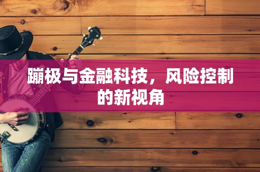 蹦极与金融科技，风险控制的新视角