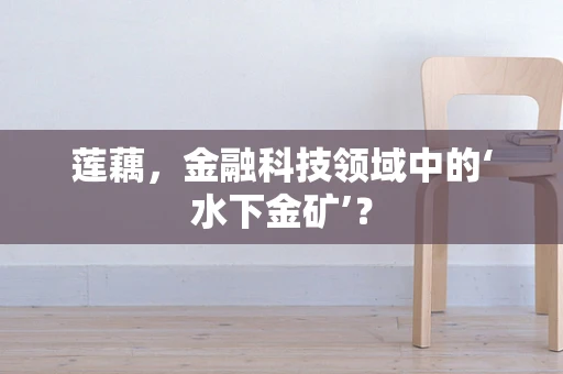 莲藕，金融科技领域中的‘水下金矿’？