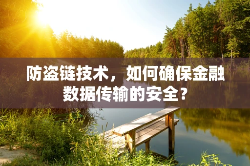 防盗链技术，如何确保金融数据传输的安全？