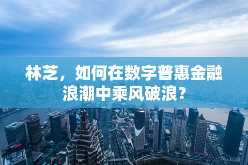 林芝，如何在数字普惠金融浪潮中乘风破浪？