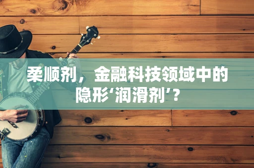 柔顺剂，金融科技领域中的隐形‘润滑剂’？