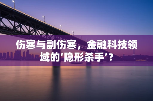 伤寒与副伤寒，金融科技领域的‘隐形杀手’？
