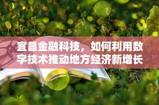 宜昌金融科技，如何利用数字技术推动地方经济新增长？