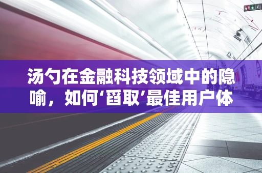汤勺在金融科技领域中的隐喻，如何‘舀取’最佳用户体验？