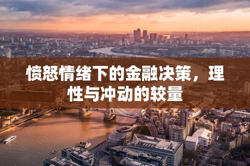 愤怒情绪下的金融决策，理性与冲动的较量
