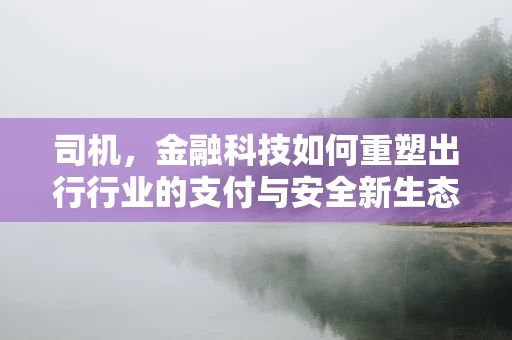 司机，金融科技如何重塑出行行业的支付与安全新生态？