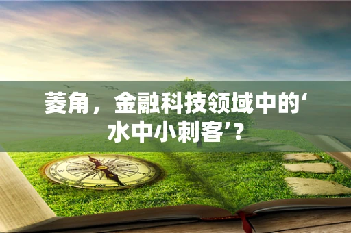 菱角，金融科技领域中的‘水中小刺客’？