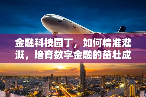 金融科技园丁，如何精准灌溉，培育数字金融的茁壮成长？
