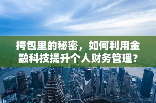 挎包里的秘密，如何利用金融科技提升个人财务管理？