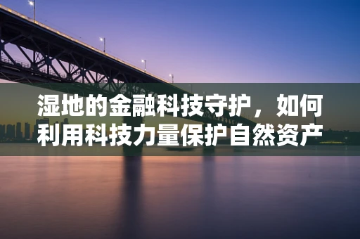 湿地的金融科技守护，如何利用科技力量保护自然资产？