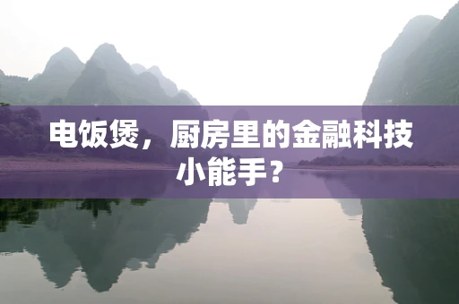 电饭煲，厨房里的金融科技小能手？