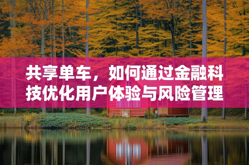 共享单车，如何通过金融科技优化用户体验与风险管理？