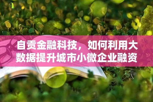 自贡金融科技，如何利用大数据提升城市小微企业融资效率？