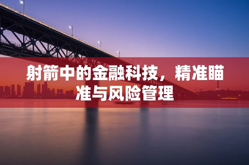 射箭中的金融科技，精准瞄准与风险管理