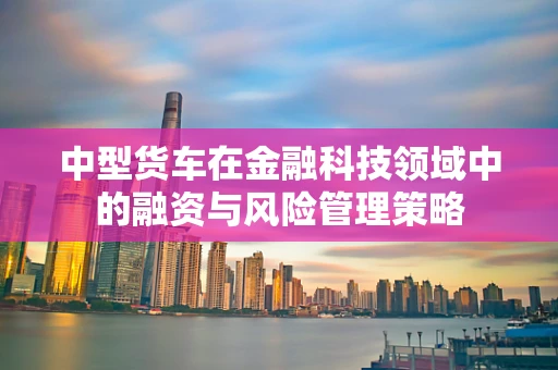 中型货车在金融科技领域中的融资与风险管理策略