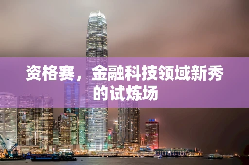 资格赛，金融科技领域新秀的试炼场