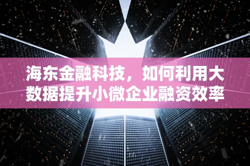 海东金融科技，如何利用大数据提升小微企业融资效率？