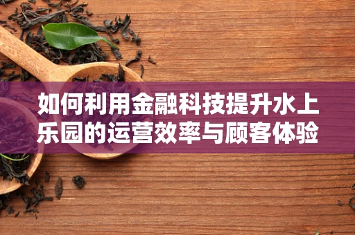如何利用金融科技提升水上乐园的运营效率与顾客体验？
