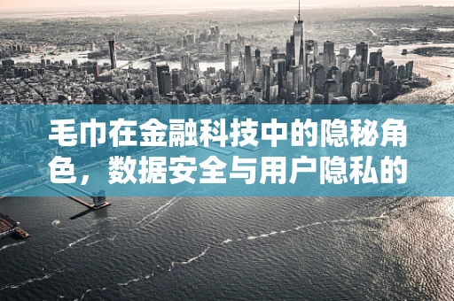 毛巾在金融科技中的隐秘角色，数据安全与用户隐私的守护者