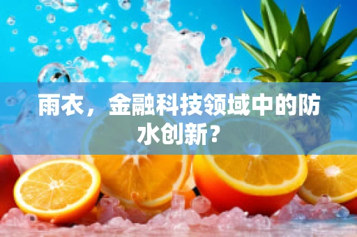 雨衣，金融科技领域中的防水创新？
