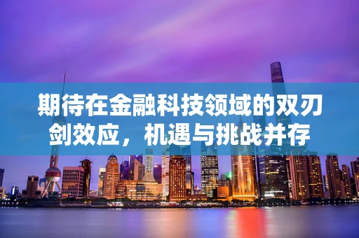 期待在金融科技领域的双刃剑效应，机遇与挑战并存
