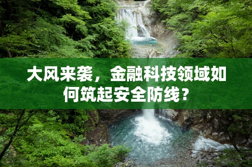 大风来袭，金融科技领域如何筑起安全防线？
