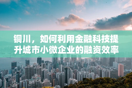 铜川，如何利用金融科技提升城市小微企业的融资效率？