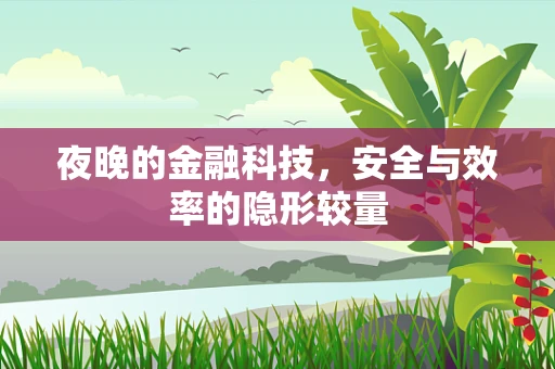 夜晚的金融科技，安全与效率的隐形较量