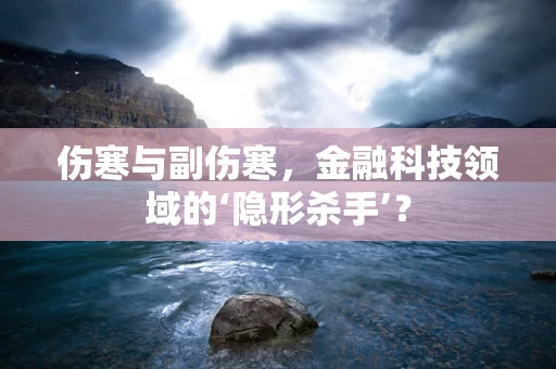 伤寒与副伤寒，金融科技领域的‘隐形杀手’？