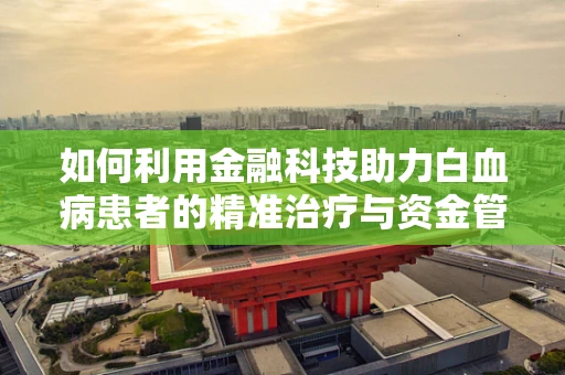 如何利用金融科技助力白血病患者的精准治疗与资金管理？