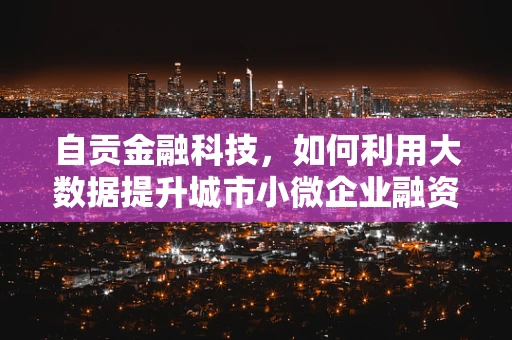 自贡金融科技，如何利用大数据提升城市小微企业融资效率？