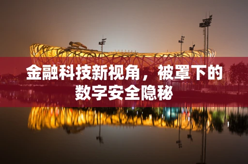 金融科技新视角，被罩下的数字安全隐秘