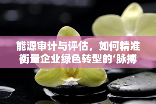 能源审计与评估，如何精准衡量企业绿色转型的‘脉搏’？