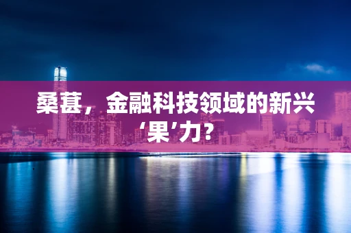 桑葚，金融科技领域的新兴‘果’力？