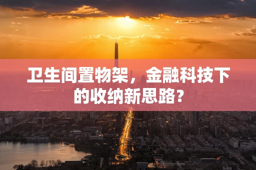卫生间置物架，金融科技下的收纳新思路？