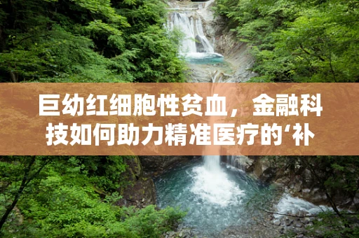 巨幼红细胞性贫血，金融科技如何助力精准医疗的‘补血’策略？