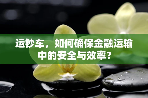 运钞车，如何确保金融运输中的安全与效率？