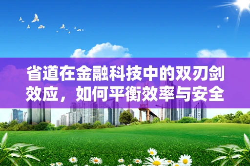 省道在金融科技中的双刃剑效应，如何平衡效率与安全？