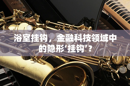 浴室挂钩，金融科技领域中的隐形‘挂钩’？