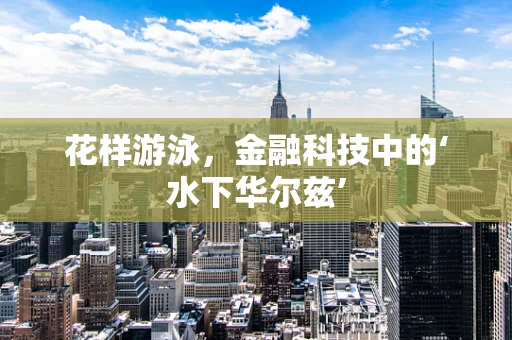 花样游泳，金融科技中的‘水下华尔兹’
