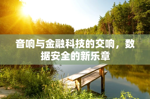 音响与金融科技的交响，数据安全的新乐章