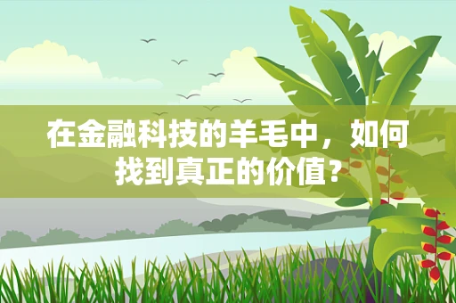 在金融科技的羊毛中，如何找到真正的价值？