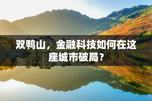 双鸭山，金融科技如何在这座城市破局？