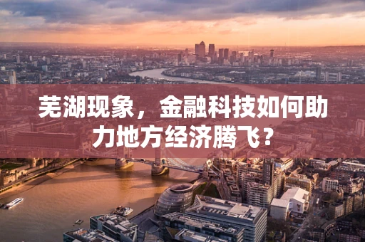 芜湖现象，金融科技如何助力地方经济腾飞？
