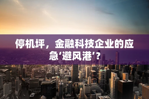 停机坪，金融科技企业的应急‘避风港’？
